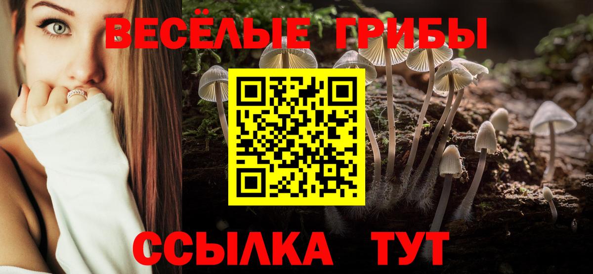 Новый Уренгой  даркнет сайт  Вход с VPN  Псилоцибиновые грибы GOLDEN TEACHER 