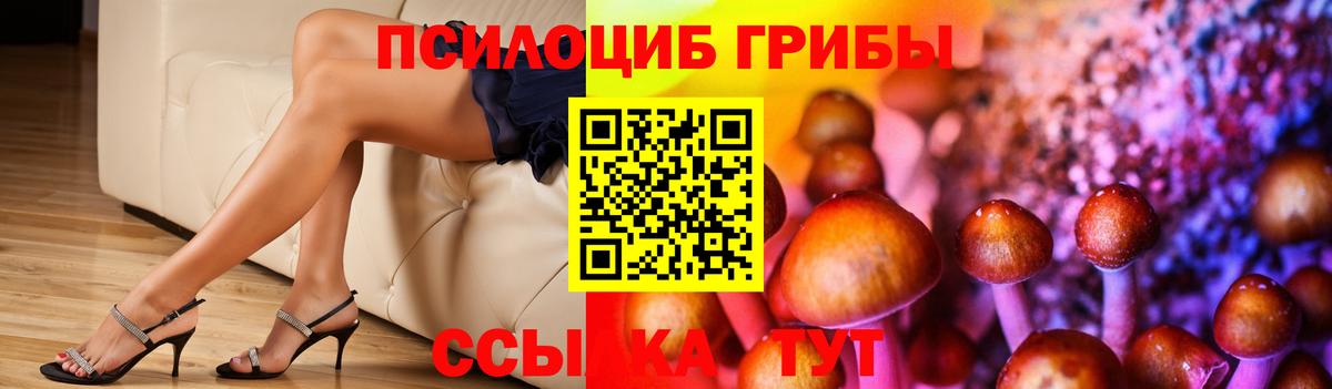 Псилоцибиновые грибы Psilocybe Новый Уренгой